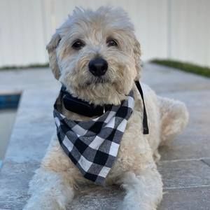 Meet your Posher, Marsha